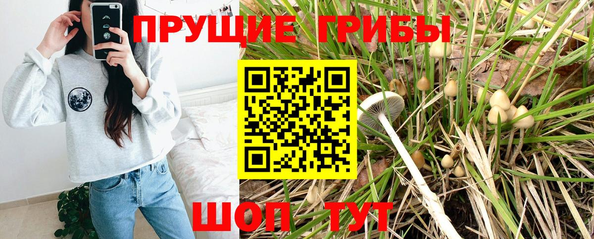 Псилоцибиновые грибы ЛСД Чистополь