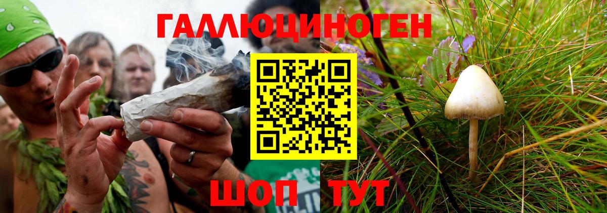 Чистополь  Псилоцибиновые грибы мухоморы  сколько стоит  Вход с VPN 